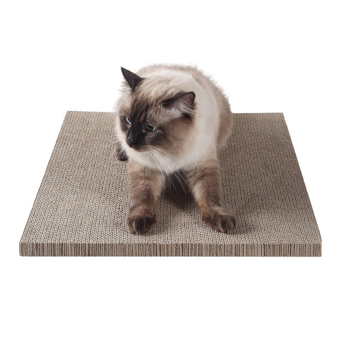 cat scratch pad